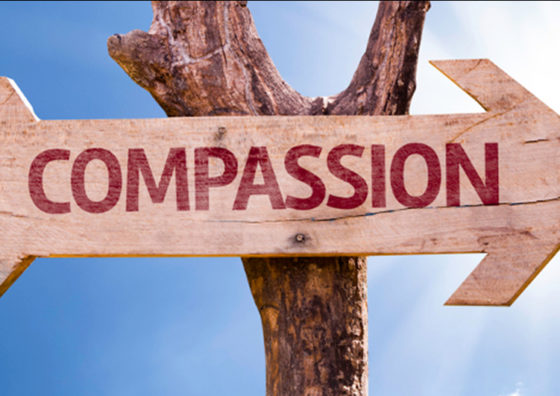 Compassion sign on tree