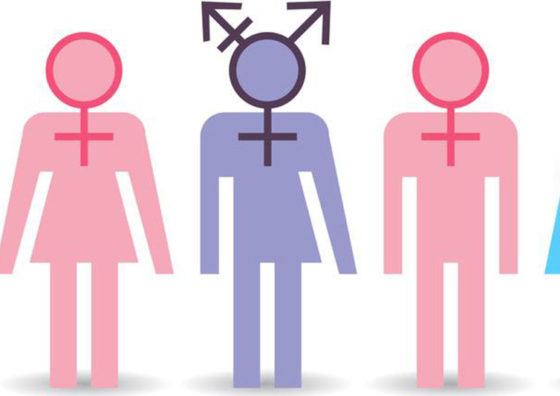 illustration of multiple gender identities