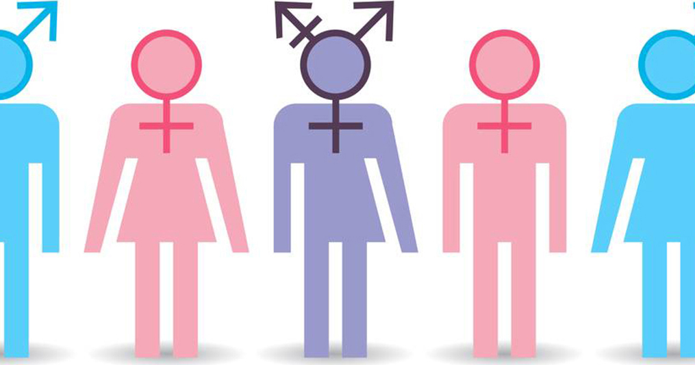 illustration of multiple gender identities