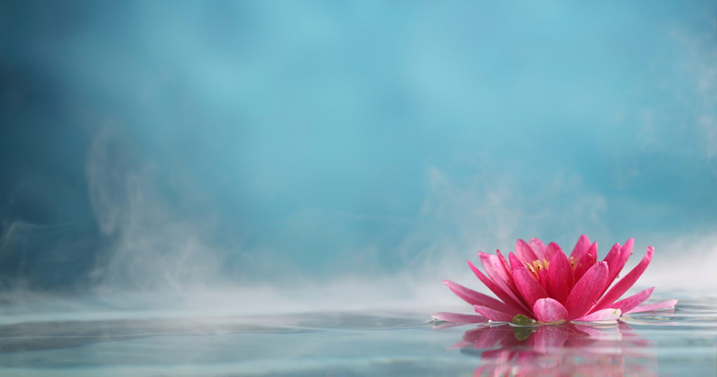 flower floating on steamy water