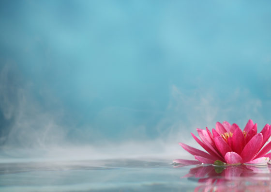 flower floating on steamy water
