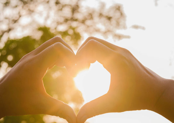 hands making heart sign against sun behind trees