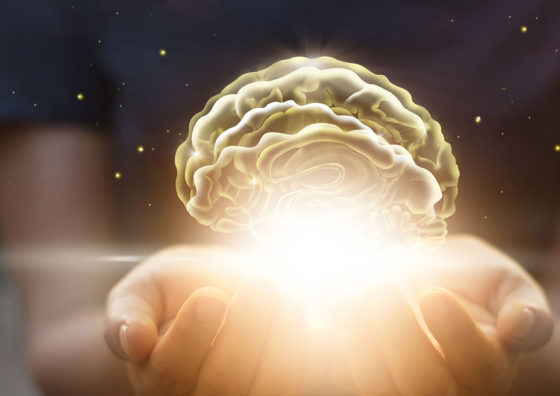 hands holding glowing brain