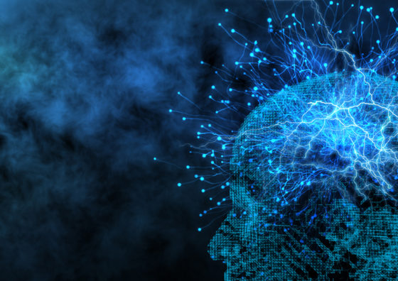 digital brain