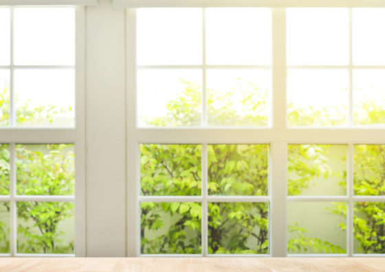 windows to outdoors