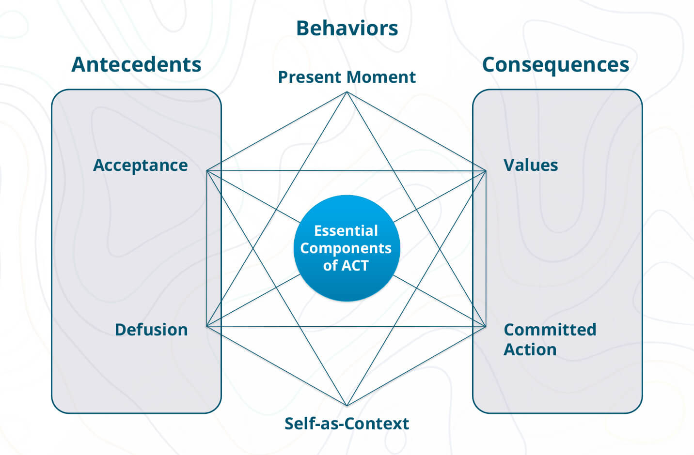 13_ACT_Foundations_for_Behavior_Analysts_Signup_Diagram-II@2x 13_ACT_Foundations_for_Behavior_Analysts_Signup_Diagram-II@2x